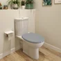 Abattant WC déclipsable avec frein de chute duroplast Remix gris