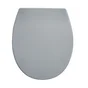 Abattant WC déclipsable avec frein de chute duroplast Remix gris