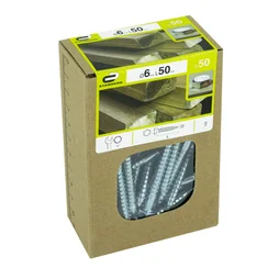 Lot de 50 vis acier tête 6 pans, STANDERS, diam. 6 mm X L.50 mm