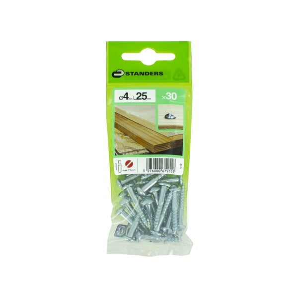 Lot De 30 Vis Acier Tête Ronde Standers, Diam.4 Mm X L.25 Mm