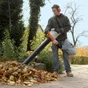 Aspirateur souffleur broyeur électrique STIHL She81, 1400 W