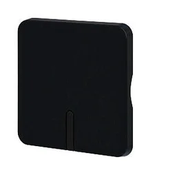 Cache Commande D'Éclairage À Voyant Cosy, Lexman Noir-Noir N°0 Mat