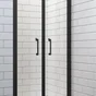 Porte de douche battante transparente, noir 80 cm, remix