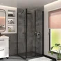 Porte de douche battante transparente, noir 90 cm, remix