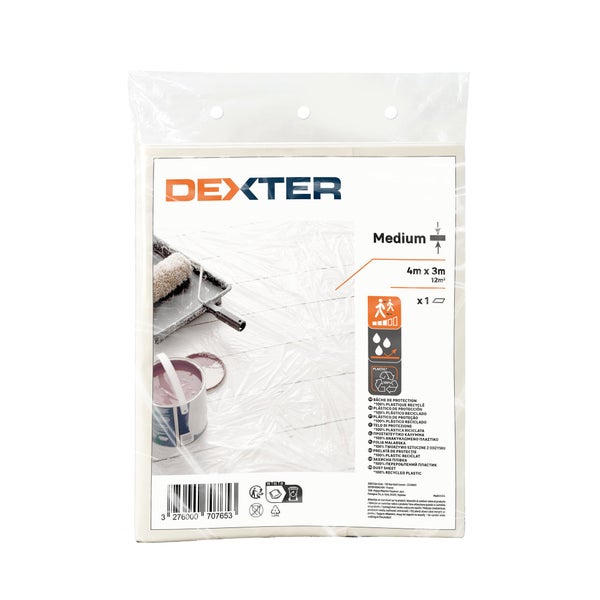 Bâche de protection, DEXTER, L.4 X l.3 m