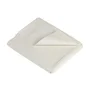 Bâche de protection, DEXTER PRO, L.4 X l.3 m
