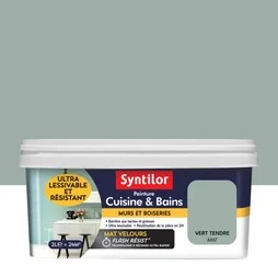 Peinture Syntilor, Vert Tendre, 2 L