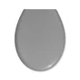 Abattant plastique thermosouple Essential, gris