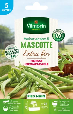Graine haricot mascotte VILMORIN 19 g