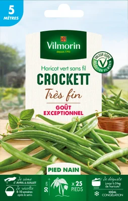 Graine haricot crockett VILMORIN 27 g