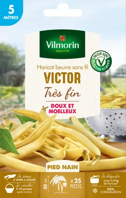 Graine haricot victor VILMORIN 30 g