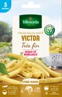 Graine haricot victor VILMORIN 30 g
