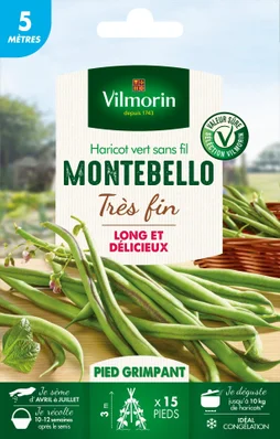 Graine haricot montebello VILMORIN 28 g