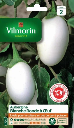Graine potager Aubergine blanche ronde à œuf VILMORIN