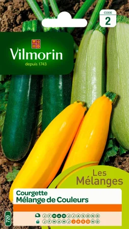 Courgette Mélange De Couleurs Vilmorin 2 G