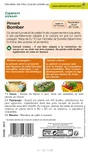 Graine potager Piment bomber VILMORIN
