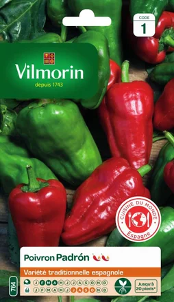 Graine potager Poivron padrón VILMORIN