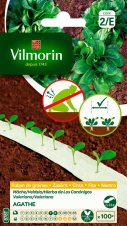 Rubans de graines agathe VILMORIN 1.1 g
