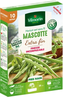 Graine haricot mascotte VILMORIN 38 g