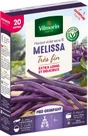 Graine haricot melissa VILMORIN 120 g