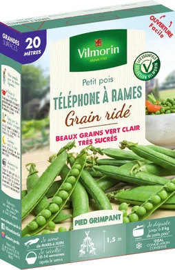 Graine potager Pois téléphone à rames VILMORIN