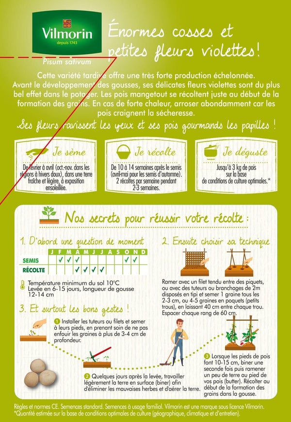 Graine potager Pois géant à fleur violette VILMORIN