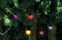 Guirlande Extérieure 10 Ampoules B22 Multicolor 300 Lumens Pro 10M Tibelec