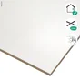 Carrelage Mur Intenso Uni Blanc Mat L.30 X L.90 Cm, Arctic Artens