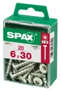 Lot De 20 Vis Acier Tête Ronde Pozidriv Spax, Diam.6 Mm X L.30 Mm