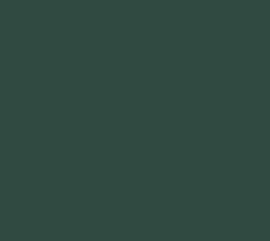 Peinture bois extérieur Climats extrêmes® V33, vert basque brillant 0.5 l