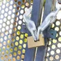 Cadenas À Clé Standers Laiton, L.75 Mm