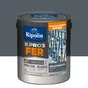 Peinture Fer Extérieur Xpro3 Ripolin Gris Anthracite Mat 2 L