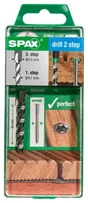 Forêt Étagé 4 / 6 Mm