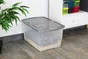 bac  IRIS polypropylène transparent / gris, 45 l