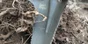 Bêche acier carbone, manche composite, multifonction, Root Slayer
