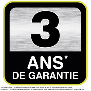 Décapeur Thermique Ryobi Ehg2000, 2000 W
