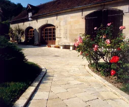 Pavé béton Tarnis, L.15 x L.15 cm x Ep. 60 mm jaune
