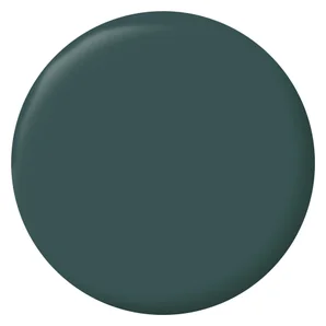 Peinture intérieur satiné mur, boiserie et radiateur RIPOLIN vert armerie, 0.5 litre
