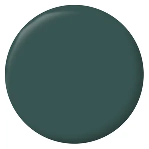 Testeur peinture intérieur satiné mur, boiserie et radiateur RIPOLIN, vert armerie, 75 ml