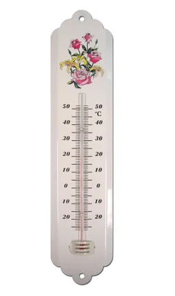 Thermomètre intérieur ou extérieur INOVALLEY 4930