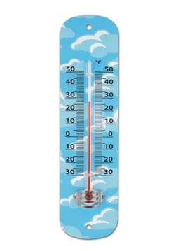 Thermomètre Intérieur Ou Extérieur Inovalley A421