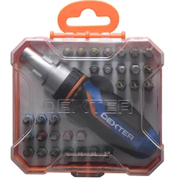 Set de vissage mixte en acier chrome DEXTER, 31 pièces