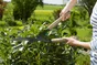 Cisaille à haie acier revêtu antiadhérent GARDENA Naturecut 12300-20