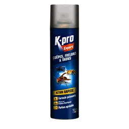 Aérosol Guêpes Et Frelons Taons Kapo, 400 Ml