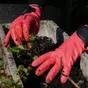 Gant pour les travaux de jardinage nitrile, taille 8 ROSTAING