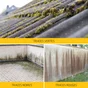 Traitement Anti-Dépots Verts Pour Toitures, Façades Et Terrasses Sika, 20 L