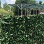 Feuillage Artificiel Photinia, H.1 X L.1 M