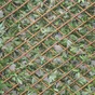 Treillis Occultant Vigne Vierge, H.1 X L.2 M