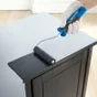 Lot de 2 recharge de rouleau à peinture pour laquer l.120 mm DEXTER