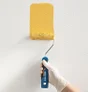 Lot De 2 Mini Manchons Peinture Pour Mur Et Plafond Avec Reliefs Dexter L.120 Mm